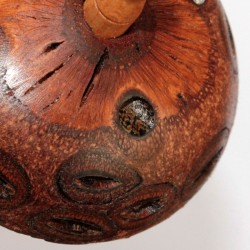 Banksia Nut Drop Spindle - 35g